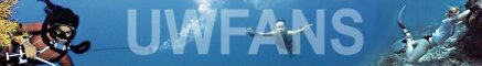 UWFban